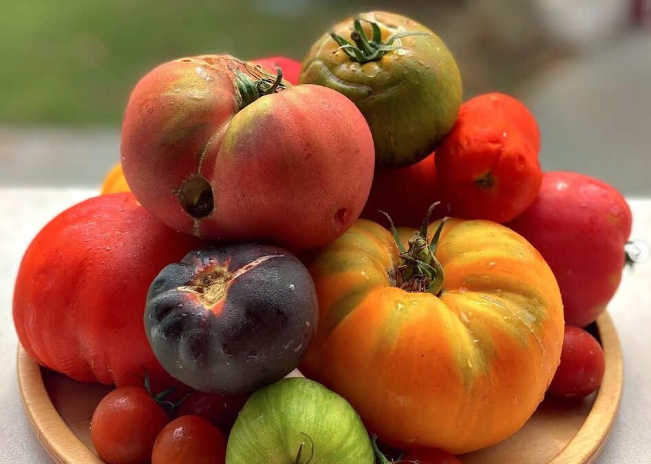 Carte de printemps ! Brasserie de l’Hôtel de Paris